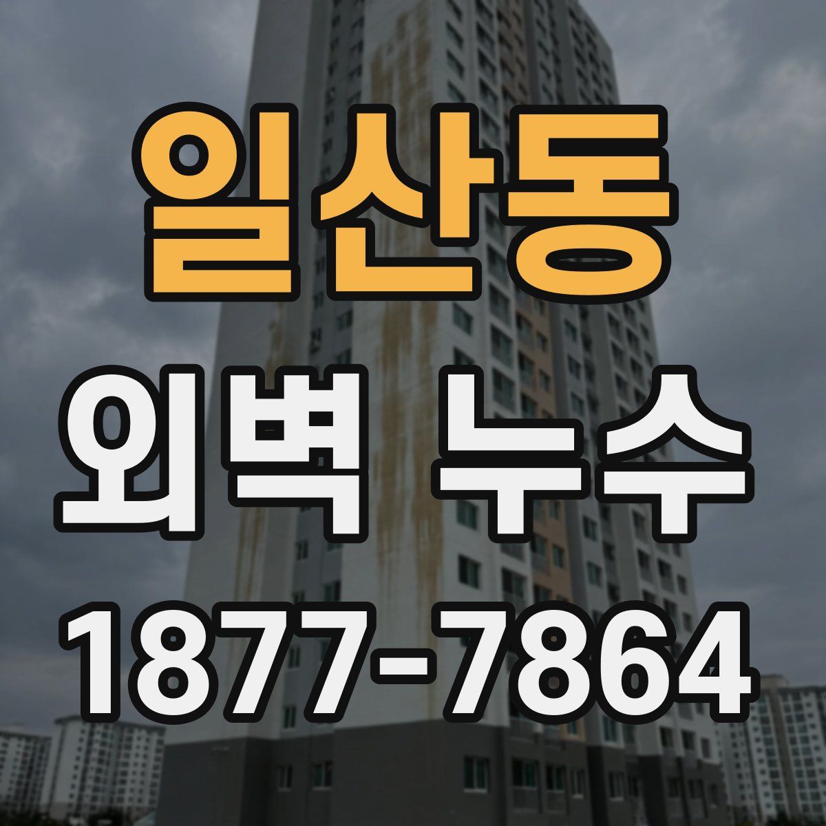 일산동 외벽 누수