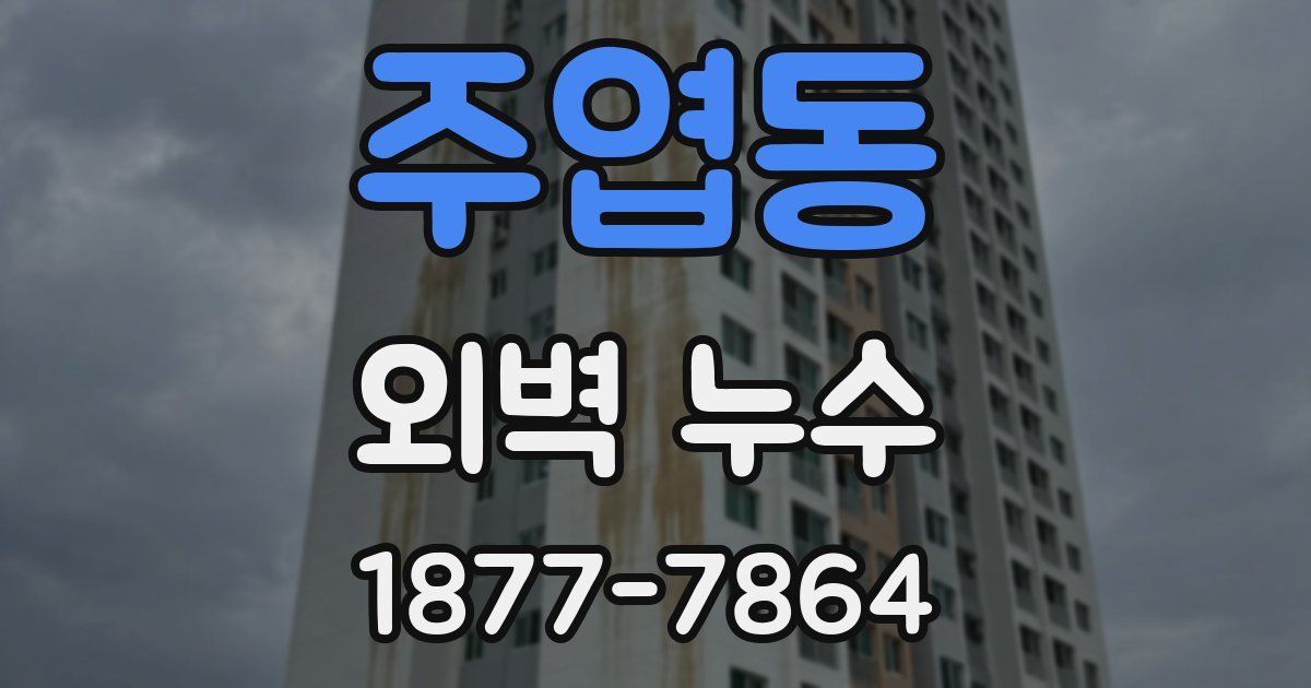 주엽동 외벽 누수