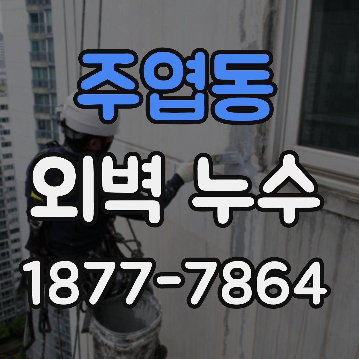 주엽동 외벽 누수