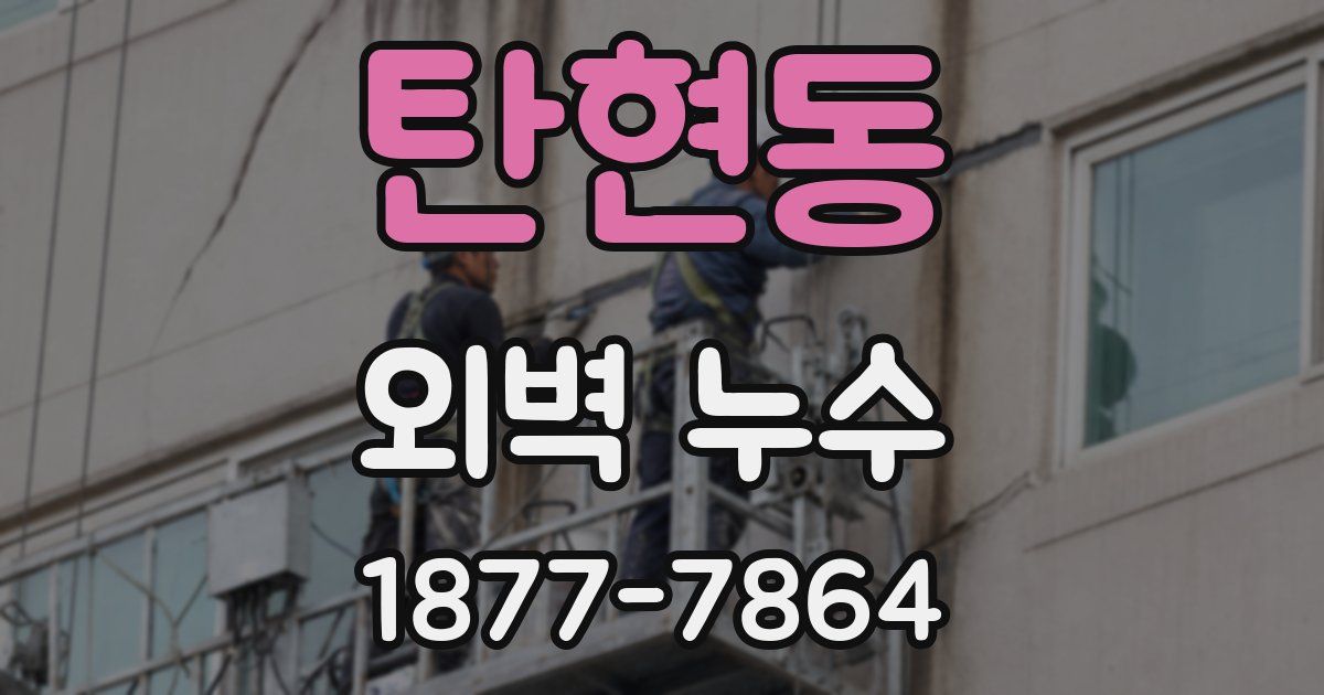 탄현동 외벽 누수