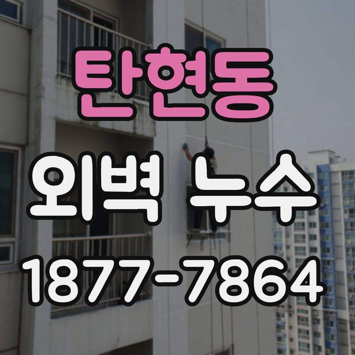탄현동 외벽 누수