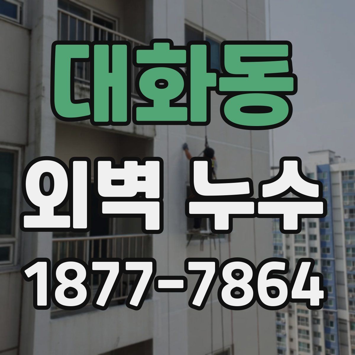 대화동 외벽 누수 진행 단계별 대응 방법