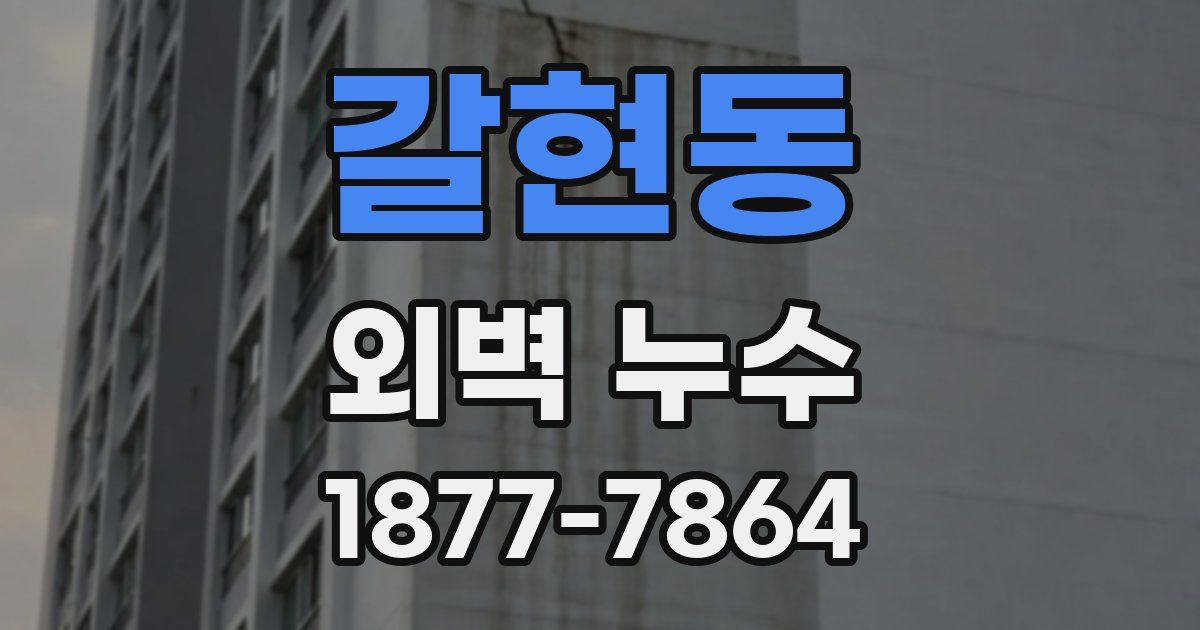 갈현동 외벽 누수
