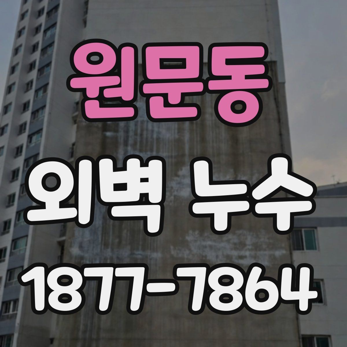 원문동 외벽 누수 점검 후 보수 계획 세우는 법