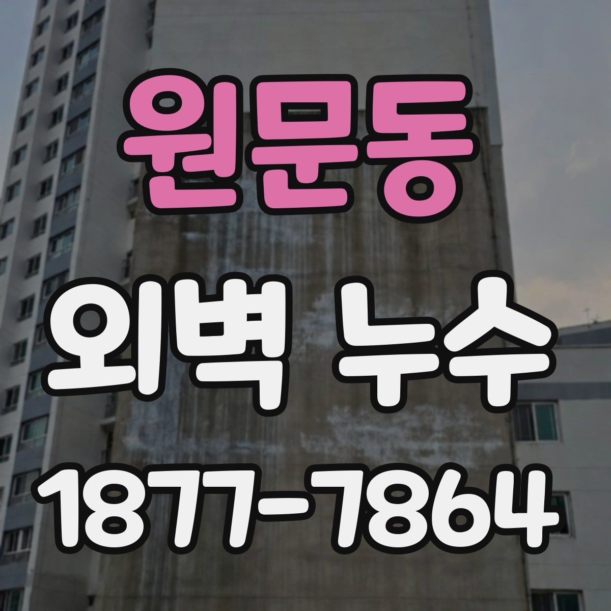 원문동 외벽 누수