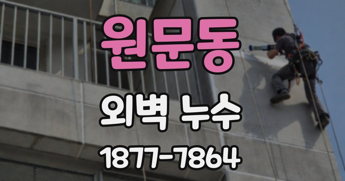 원문동 외벽 누수