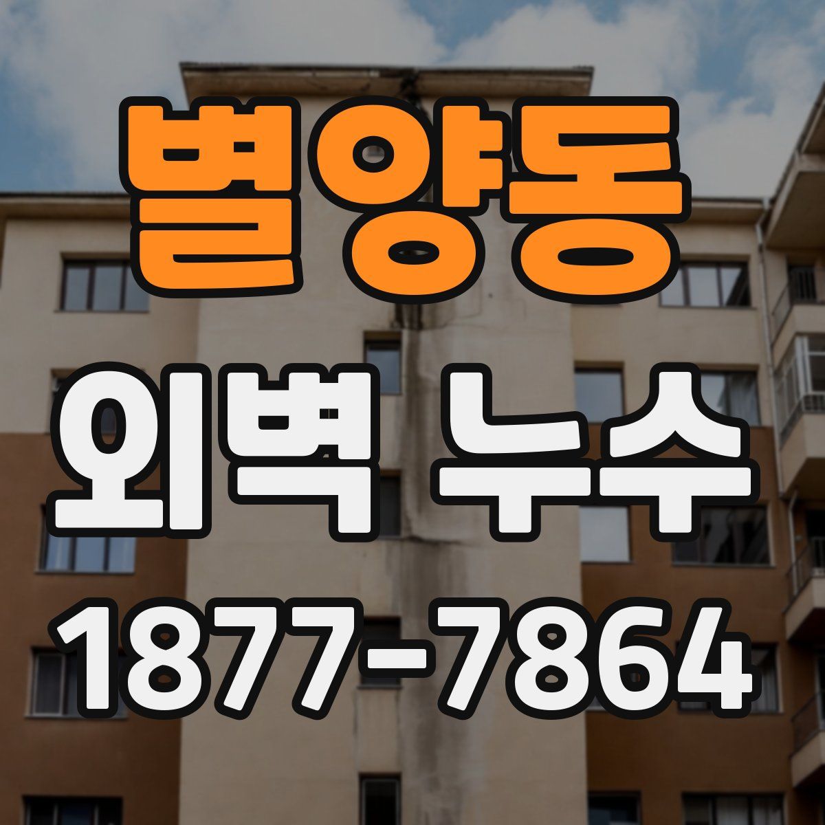 별양동 외벽 누수
