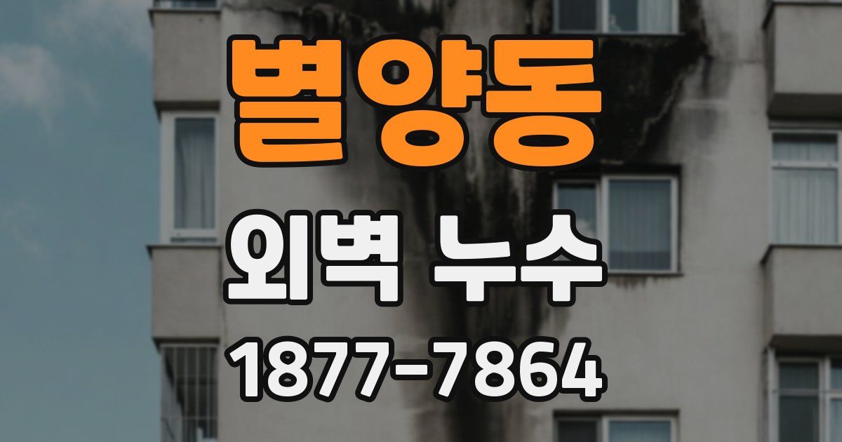 별양동 외벽 누수
