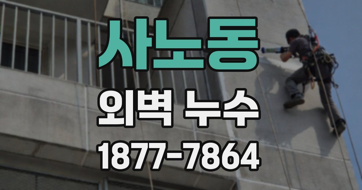 사노동 외벽 누수