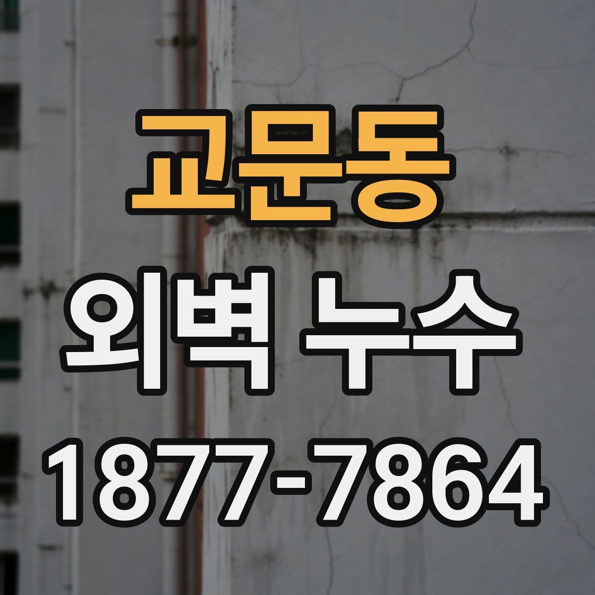 교문동 외벽 누수