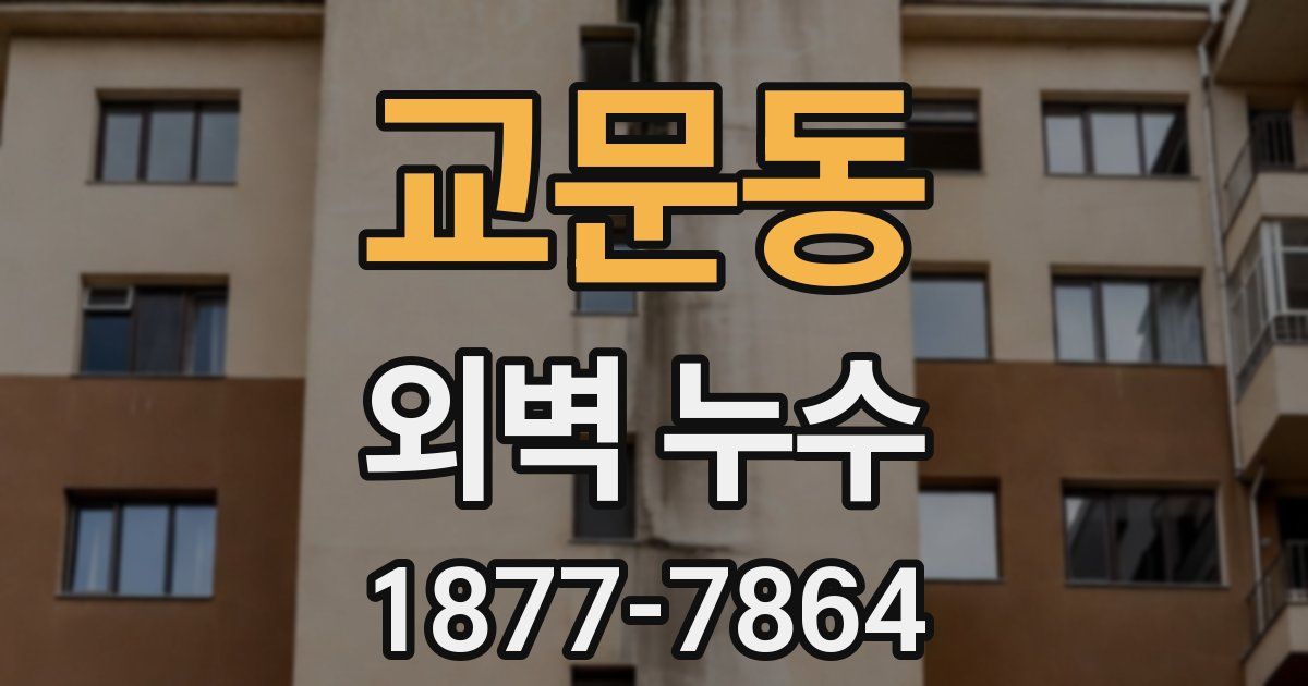 교문동 외벽 누수