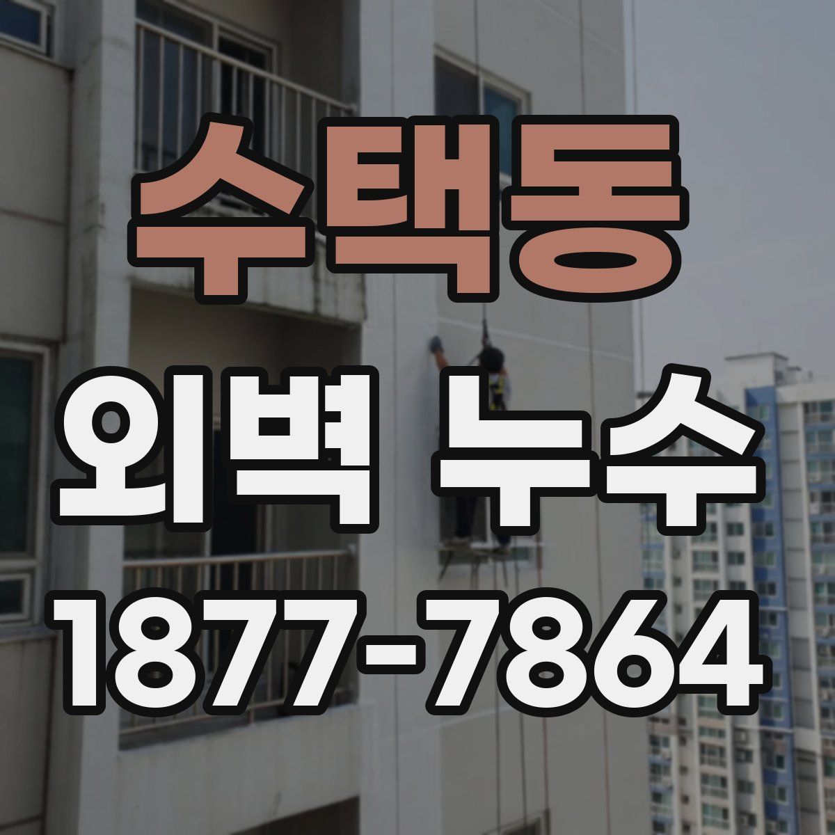 수택동 외벽 누수