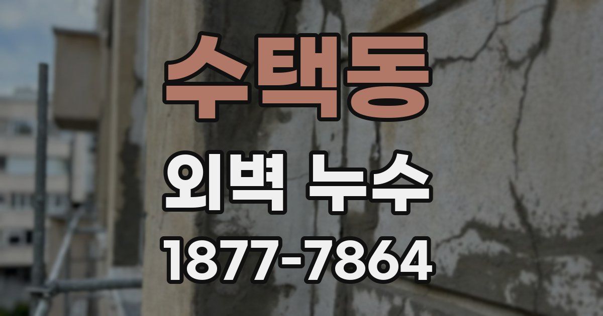 수택동 외벽 누수