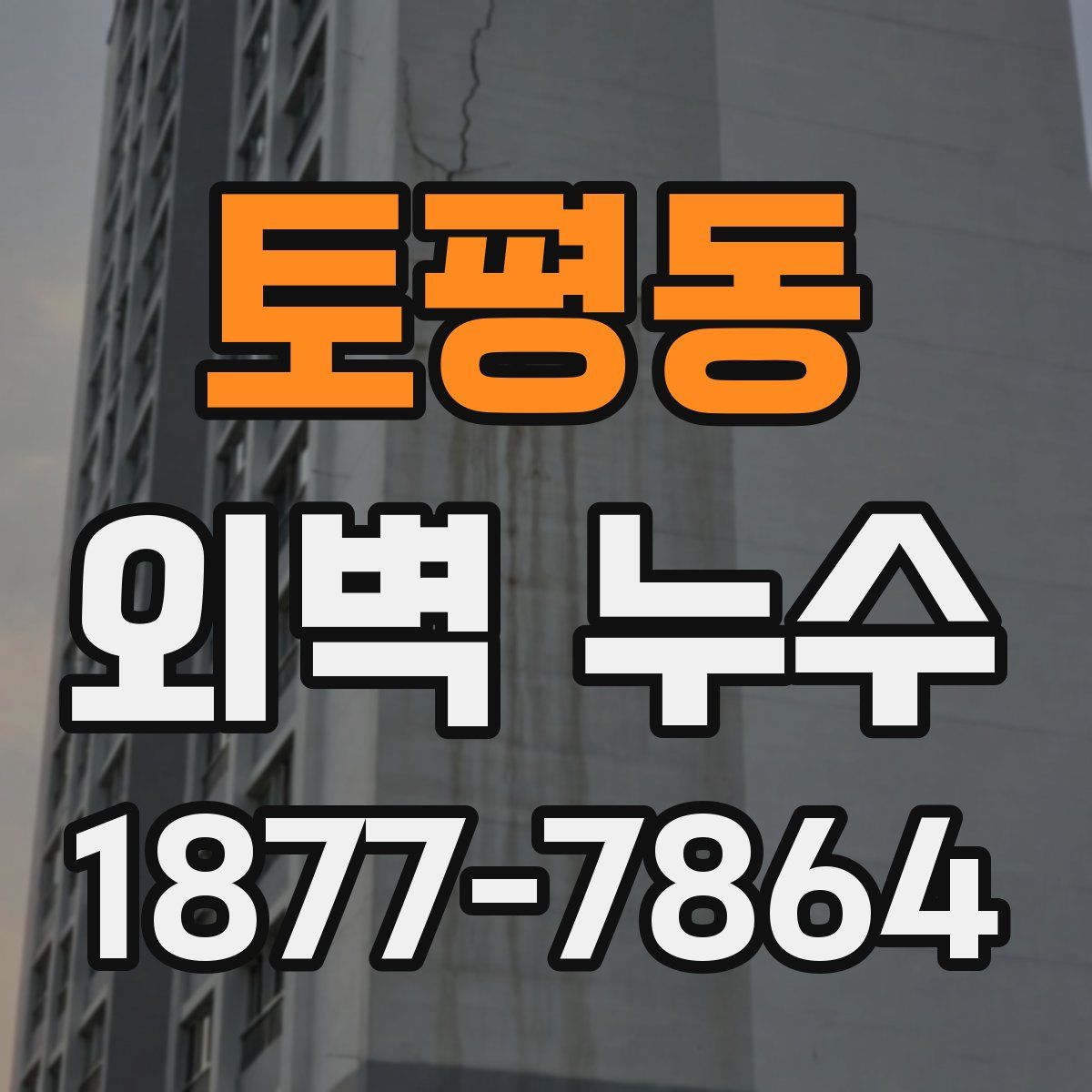 토평동 외벽 누수