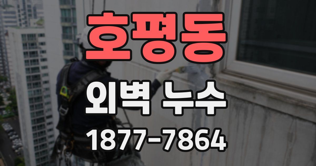 호평동 외벽 누수