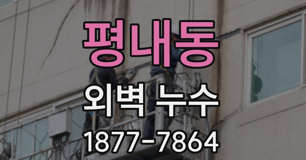 평내동 외벽 누수