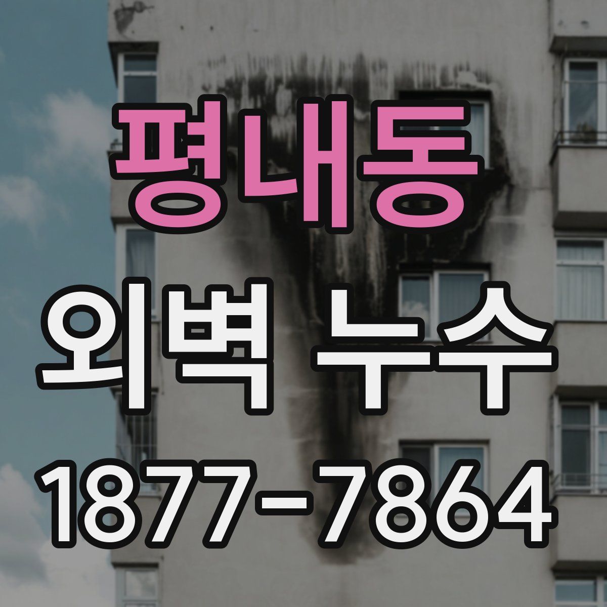 평내동 외벽 누수