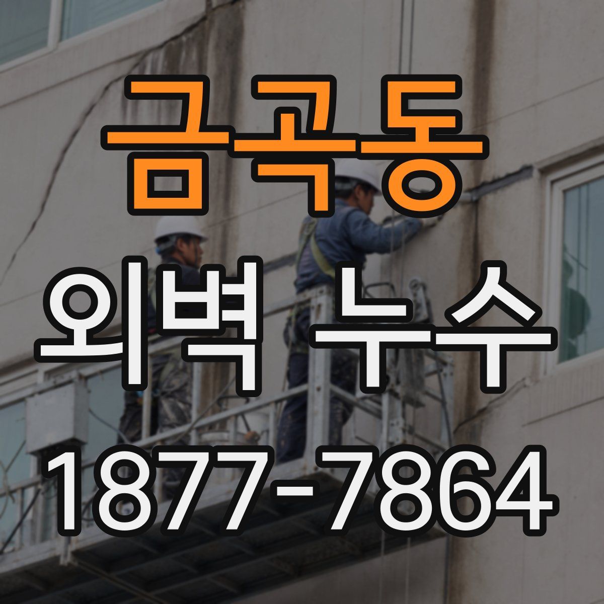 금곡동 외벽 누수