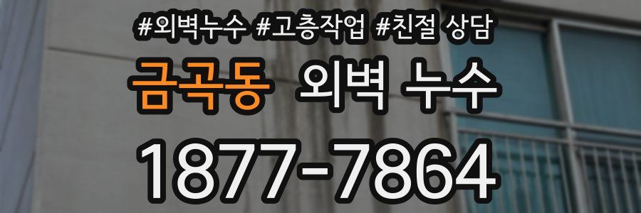 금곡동 외벽 누수
