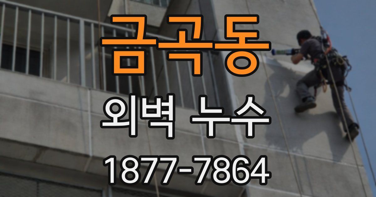 금곡동 외벽 누수
