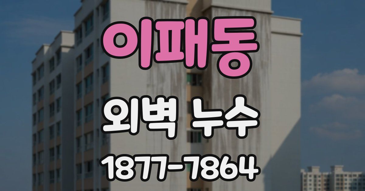 이패동 외벽 누수