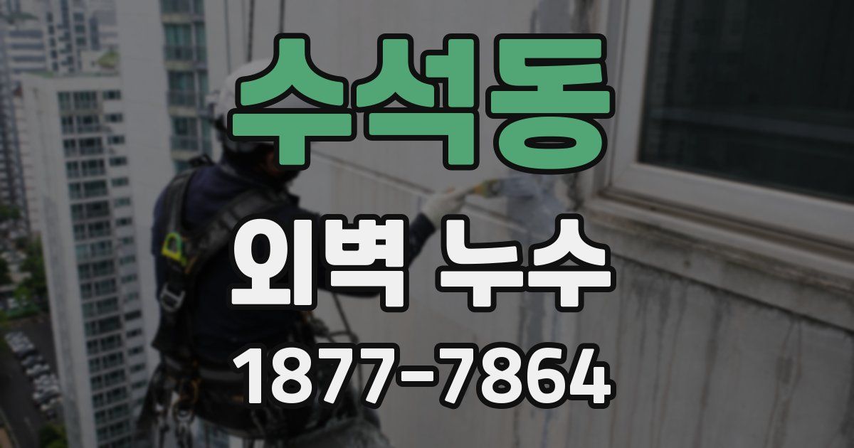 수석동 외벽 누수