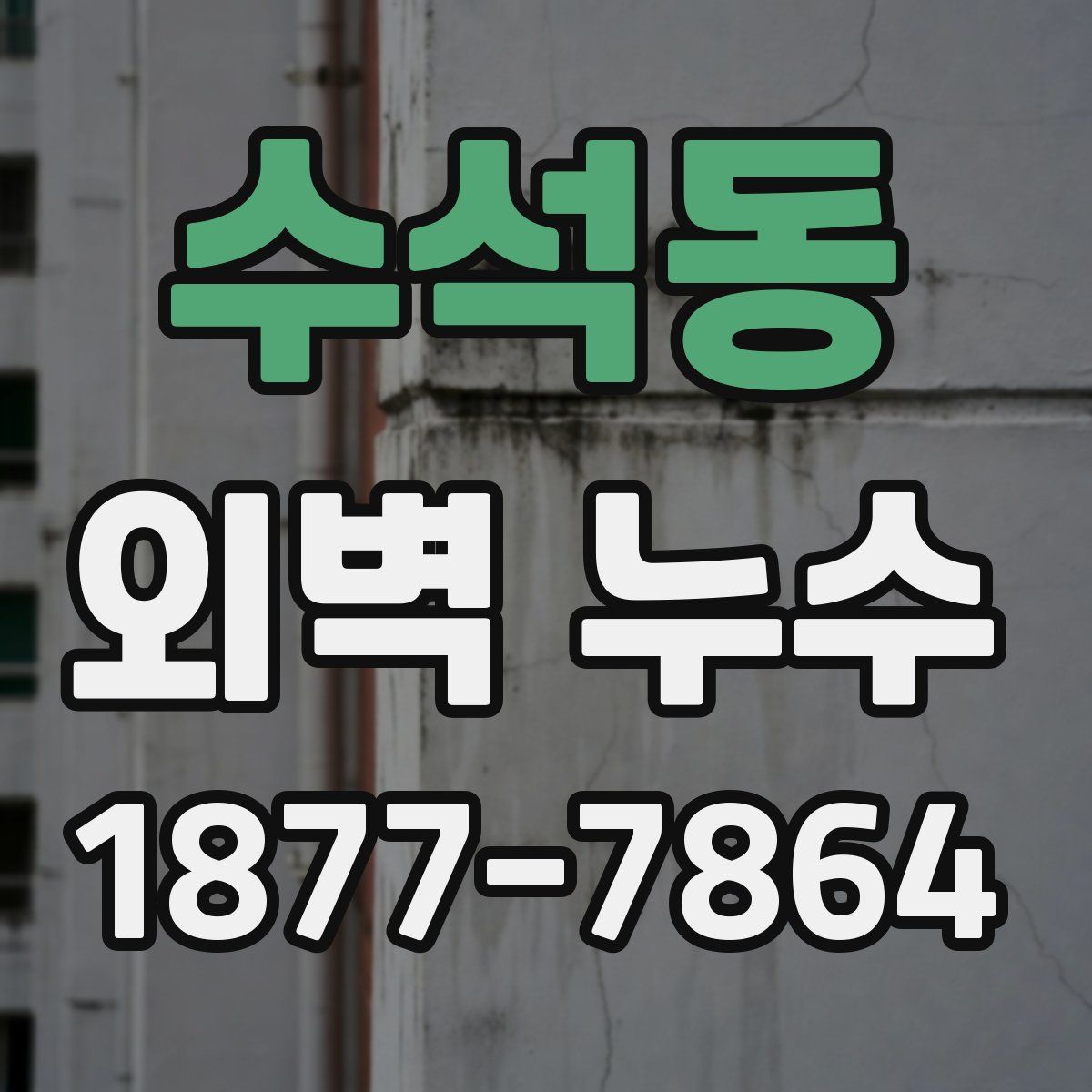 수석동 외벽 누수