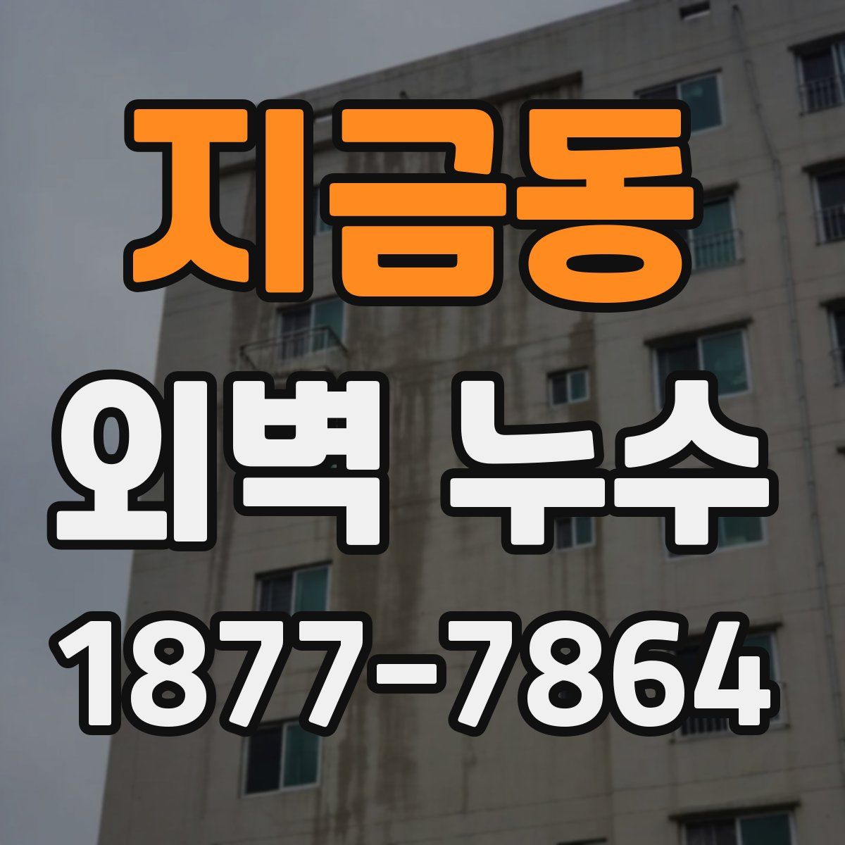 지금동 외벽 누수