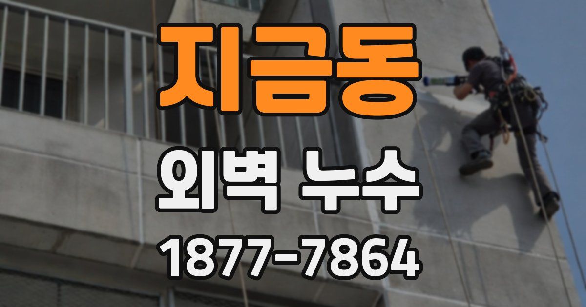 지금동 외벽 누수
