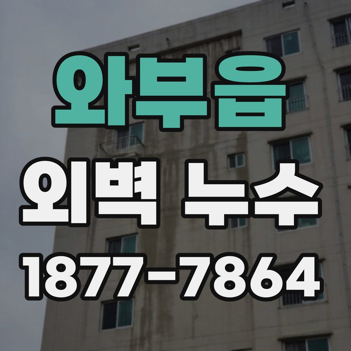 와부읍 외벽 누수