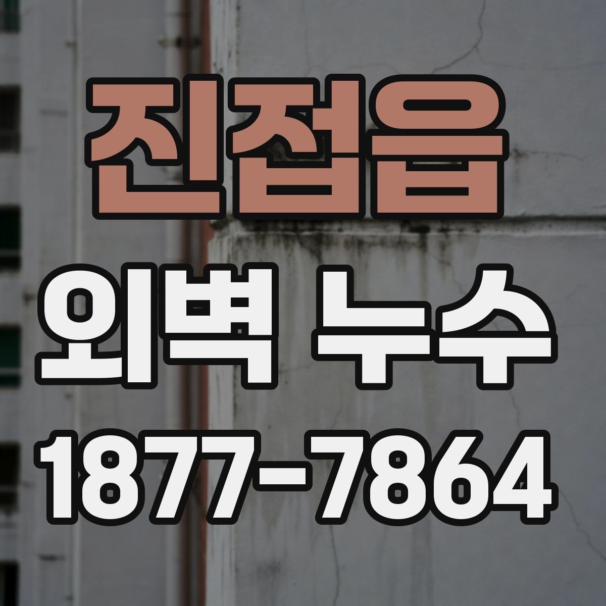 진접읍 외벽 누수