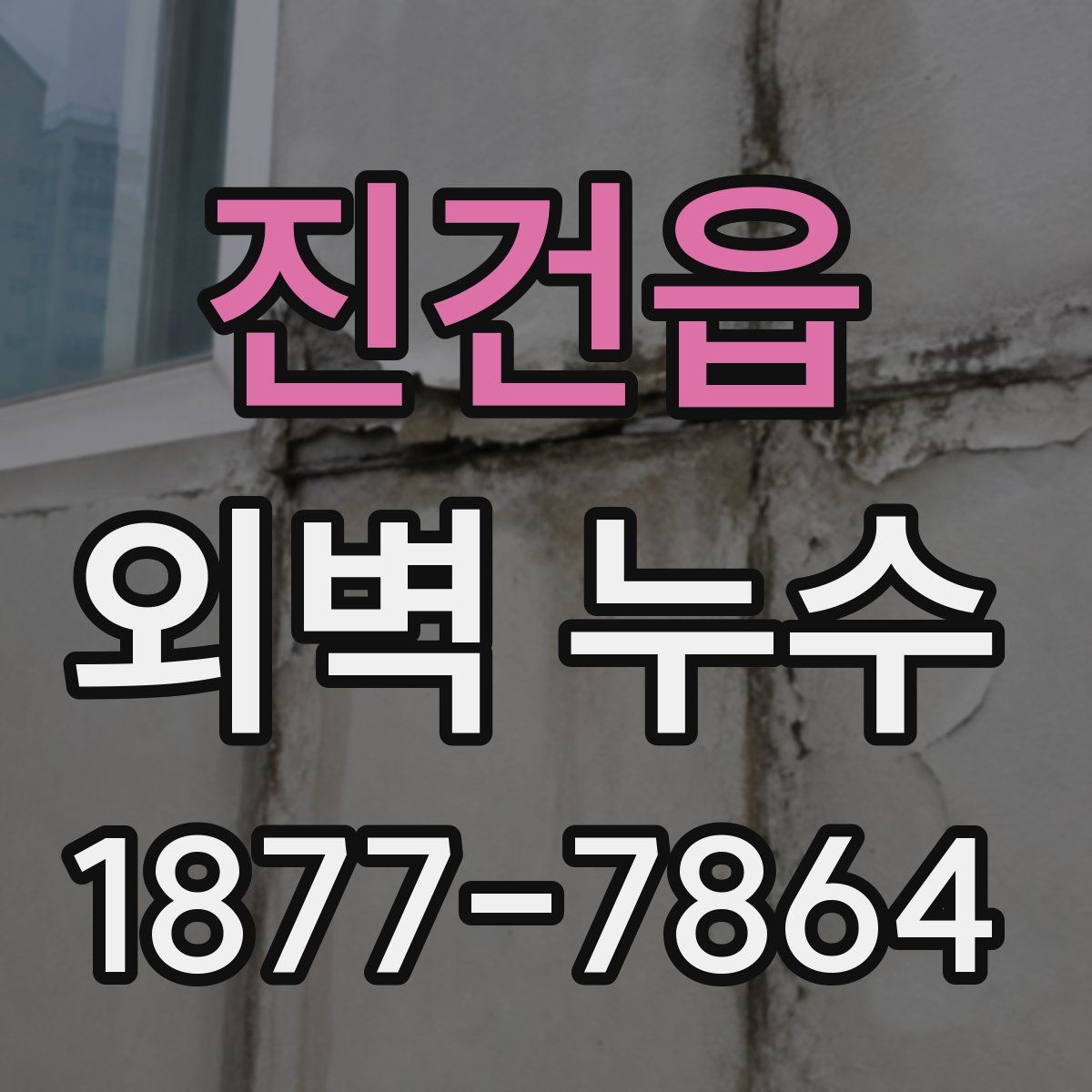 진건읍 외벽 누수