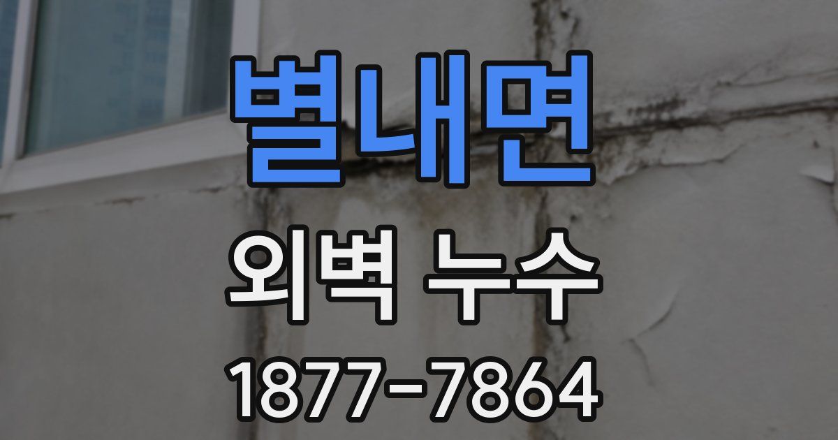 별내면 외벽 누수