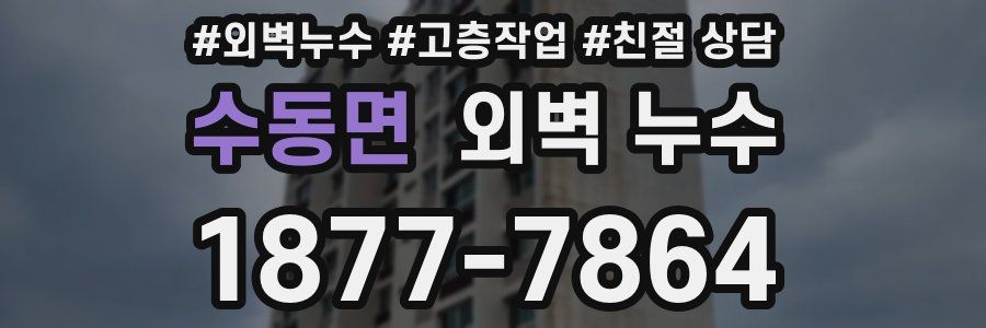 수동면 외벽 누수