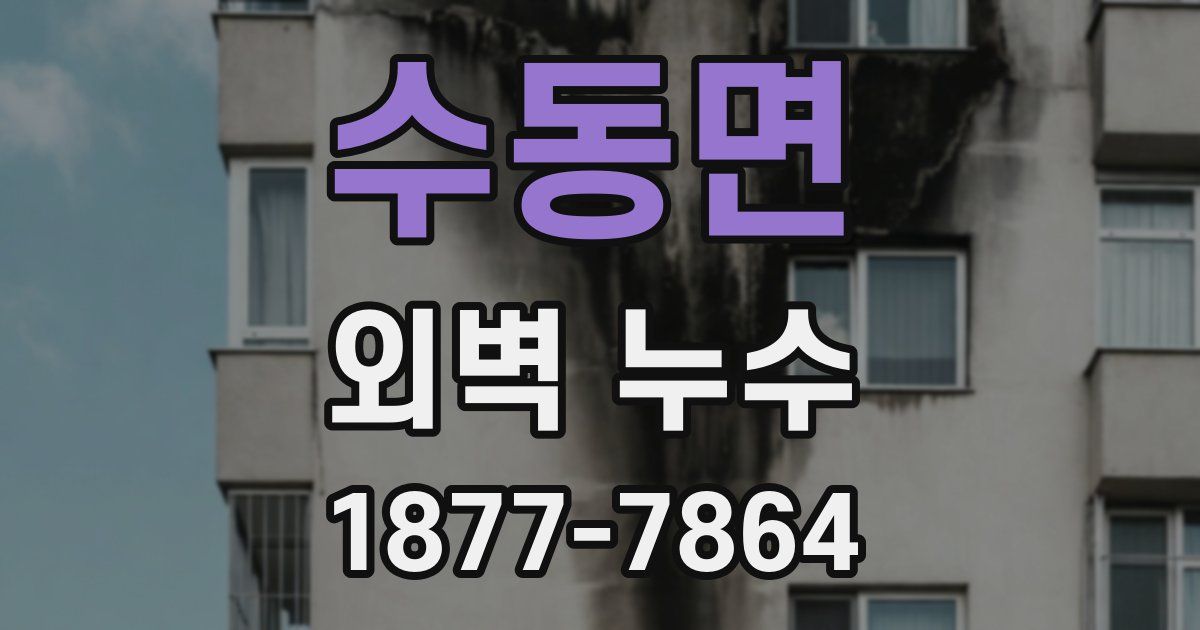 수동면 외벽 누수