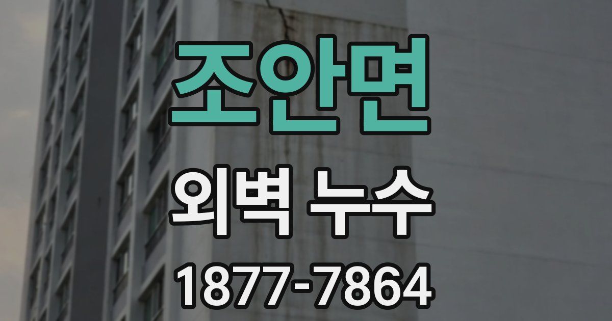 조안면 외벽 누수