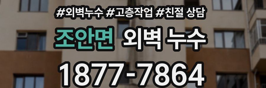 조안면 외벽 누수