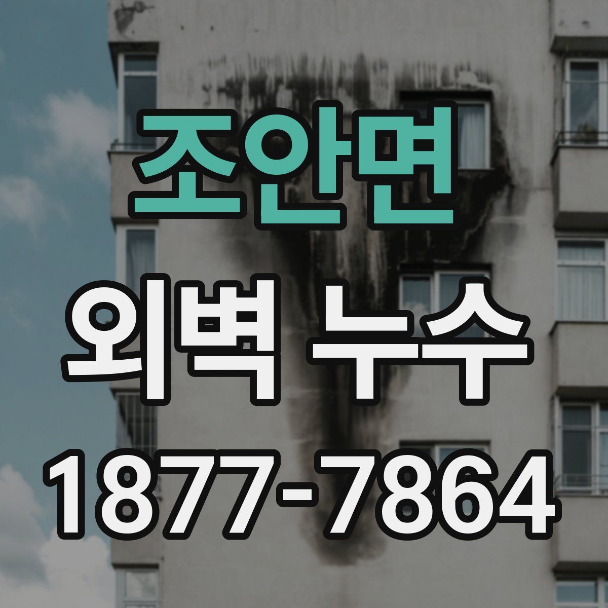 조안면 외벽 누수