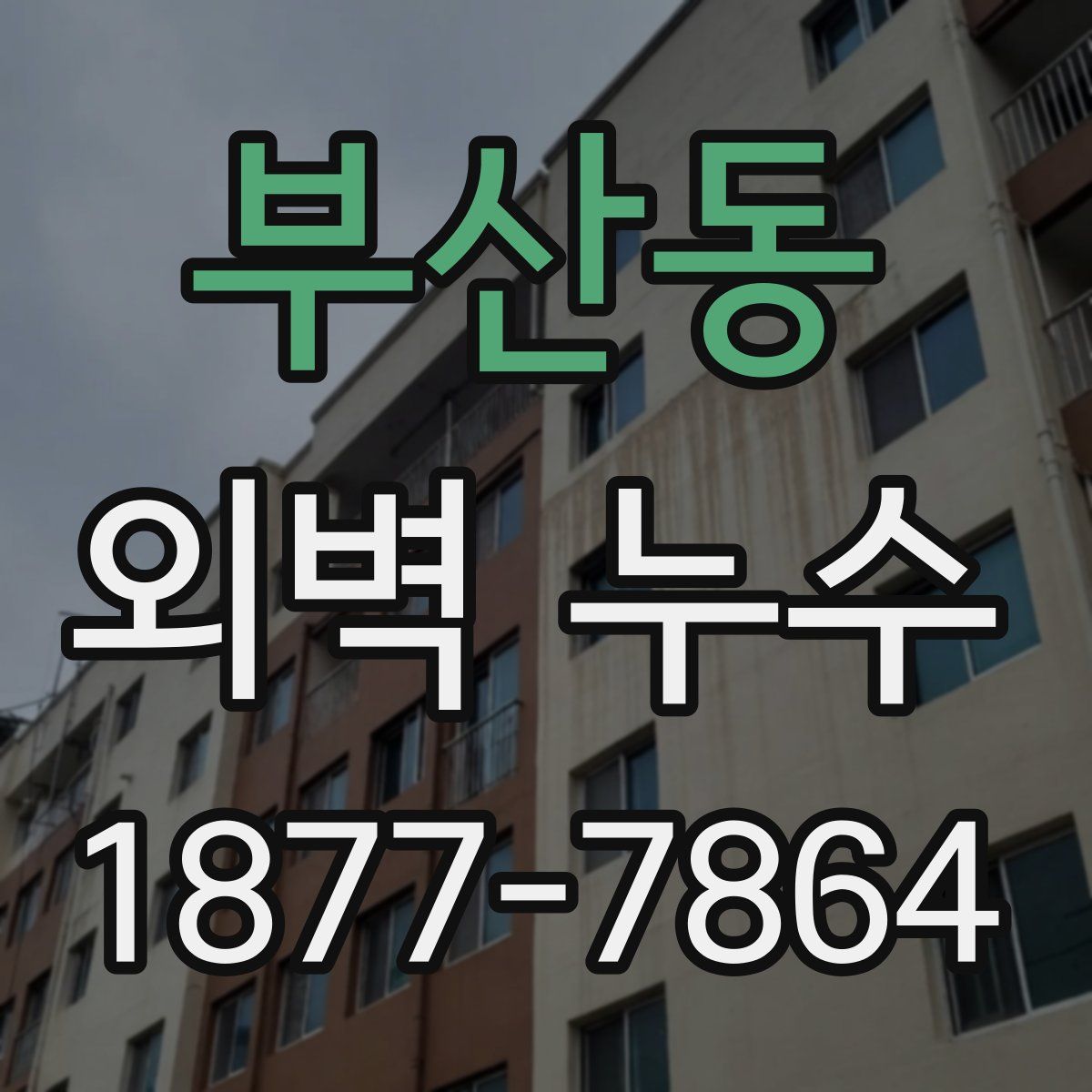 부산동 외벽 누수