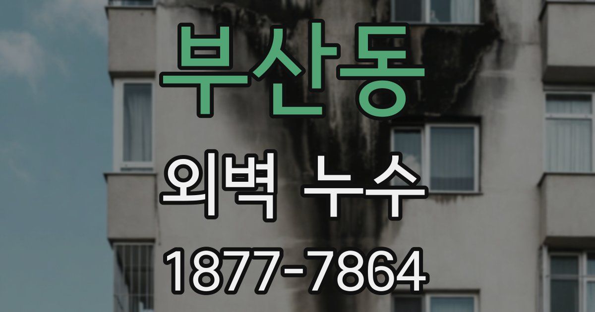부산동 외벽 누수