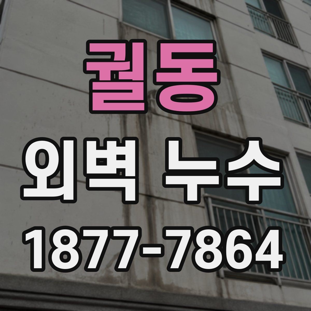 궐동 외벽 누수 보수 방식 비교와 선택 기준