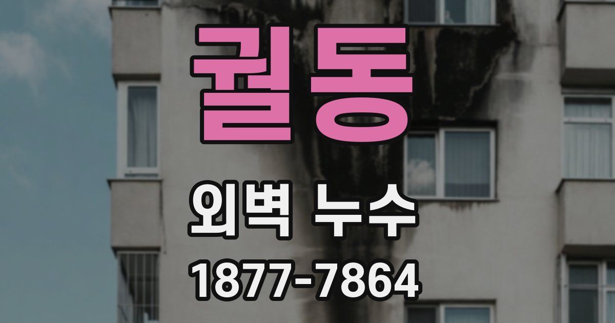 궐동 외벽 누수