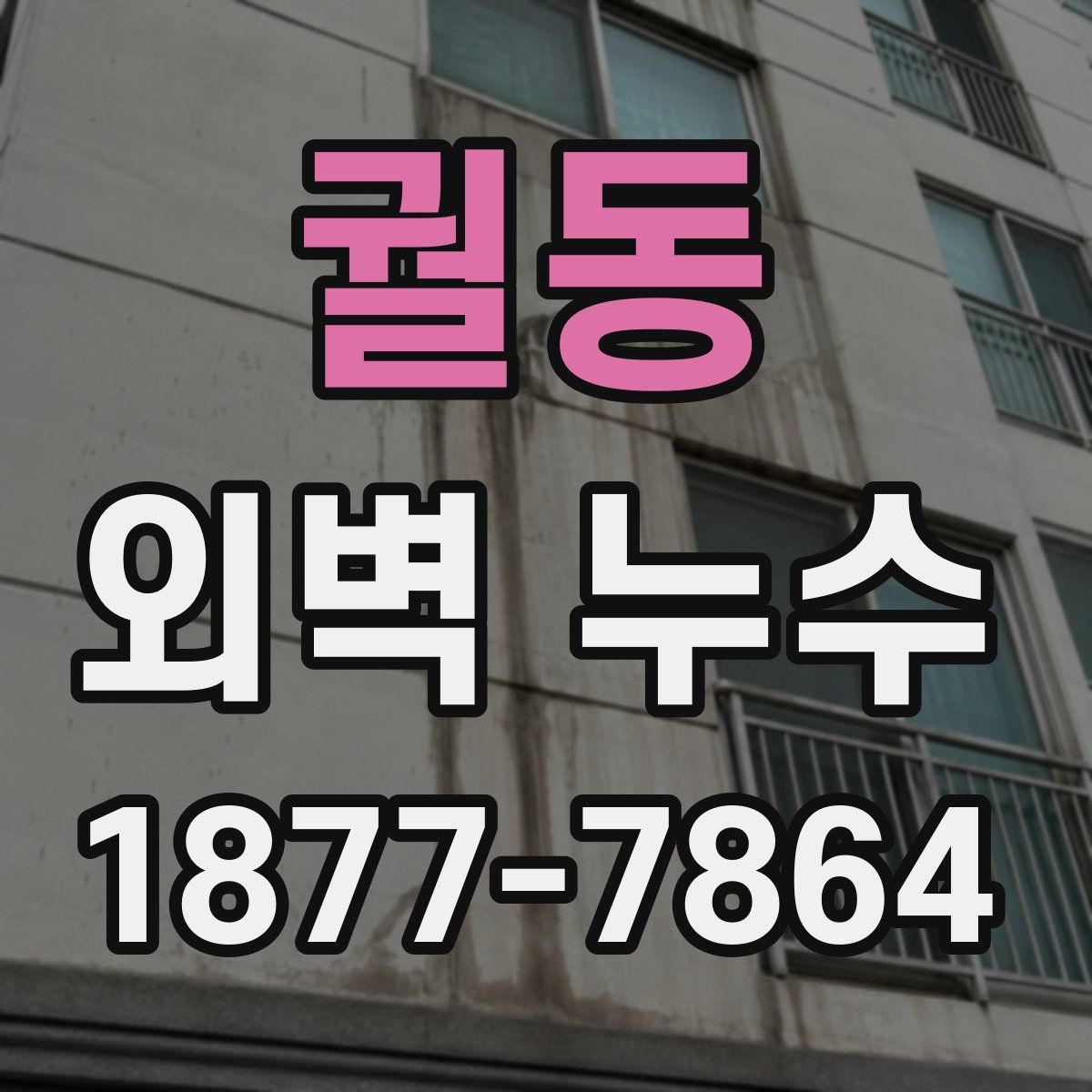 궐동 외벽 누수