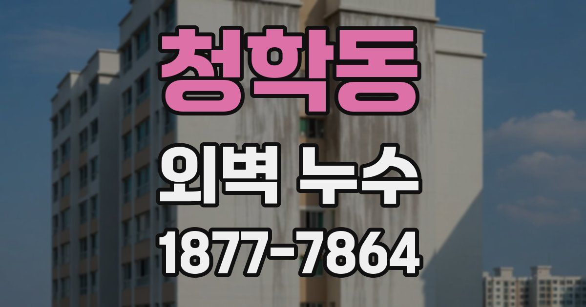 청학동 외벽 누수