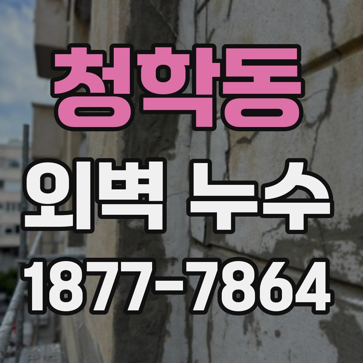청학동 외벽 누수