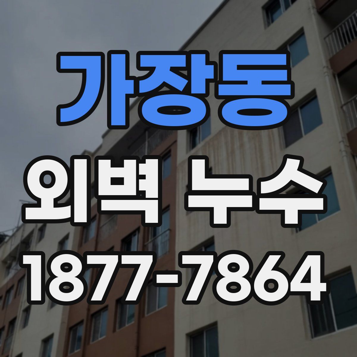 가장동 외벽 누수