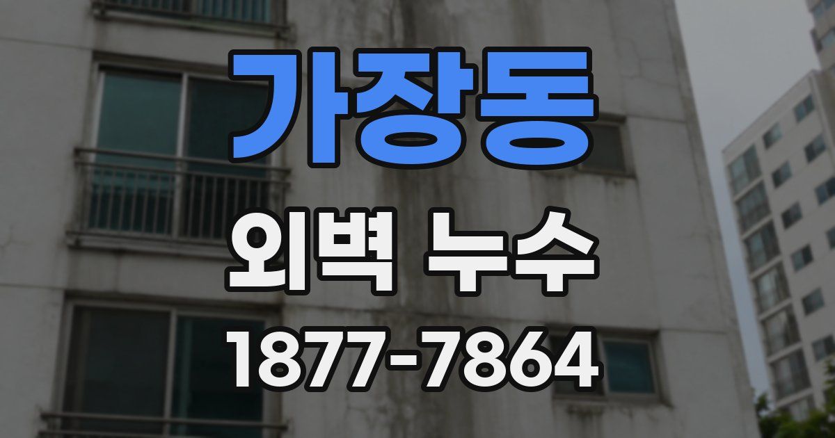 가장동 외벽 누수