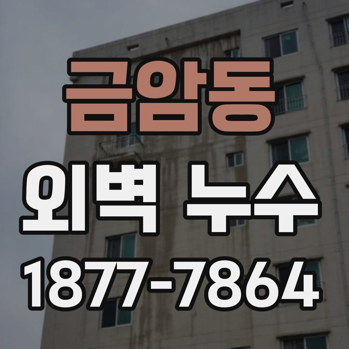 금암동 외벽 누수 사례로 보는 보수 우선순위