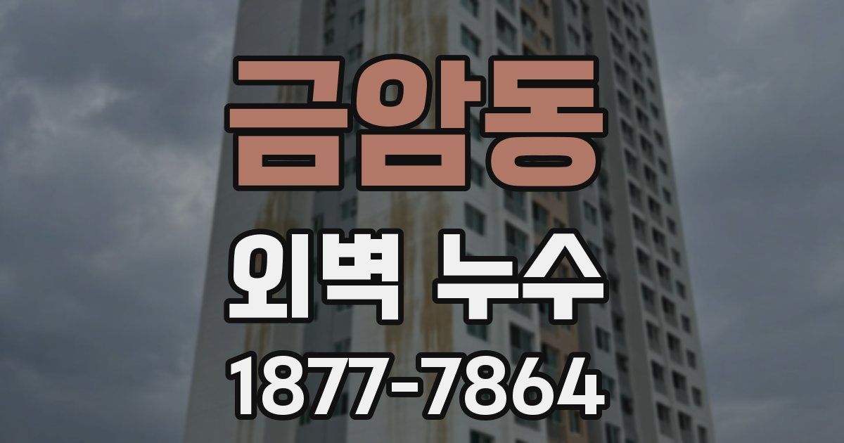 금암동 외벽 누수