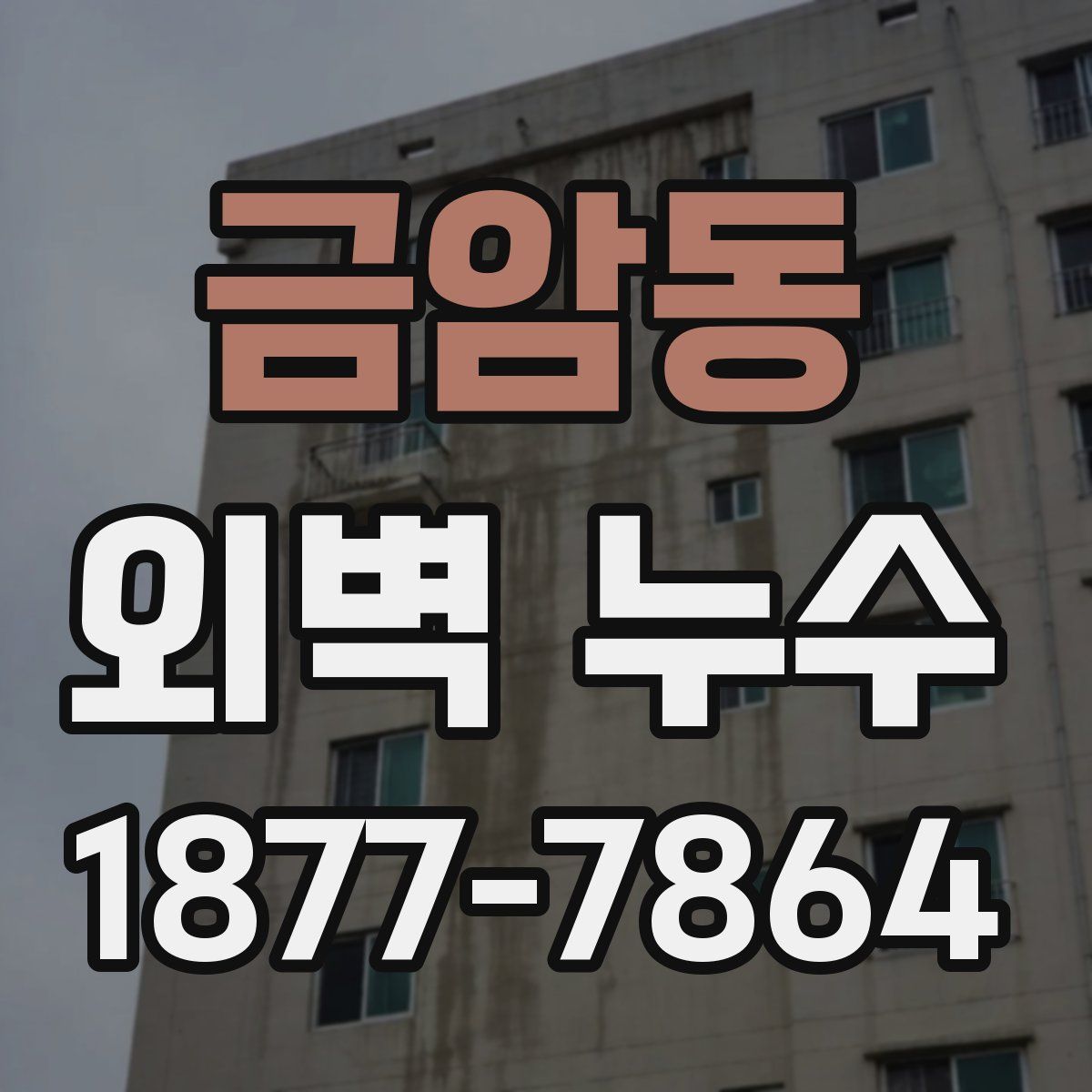 금암동 외벽 누수